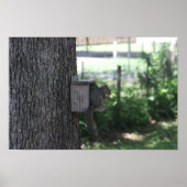 リスのポスター ポスター (正面)