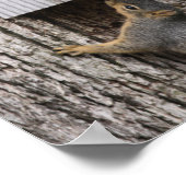 リスのポスター ポスター (角)