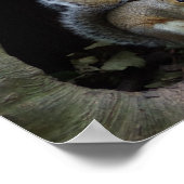 リスのポスター ポスター (角)