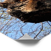 リスのポスター ポスター (角)