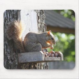 リスのマウスパッド マウスパッド