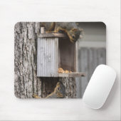 リスのマウスパッド マウスパッド (マウス)
