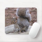 リスのマウスパッド マウスパッド (マウス)