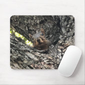 リスのマウスパッド マウスパッド (マウス)