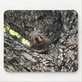 リスのマウスパッド マウスパッド