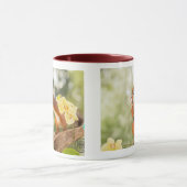 リスのマグカップ マグカップ (中央)