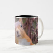 リスのマグ ツートーンマグカップ (正面右)