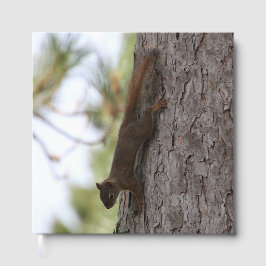 リスの上下逆 ゲストブック