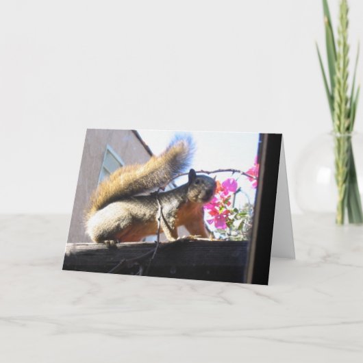 リスの世界の引っ越し祝いパーティーカード 招待状 (正面)