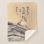 リスの写真と文字 シェルパブランケット (正面)
