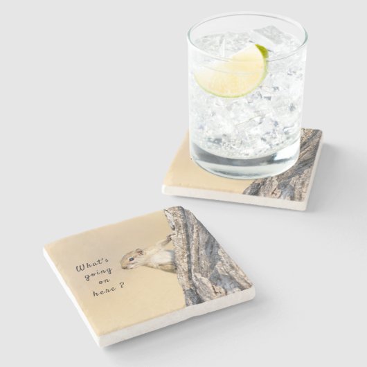 リスの写真と文字 ストーンコースター (横)