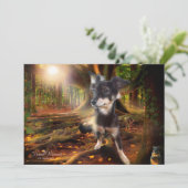 リスの写真を探している犬 シーズンカード (スタンド正面)