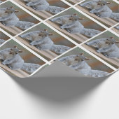 リスの写真 ラッピングペーパー (角)