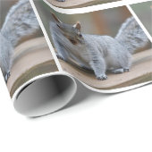 リスの写真 ラッピングペーパー (ロールコーナー)