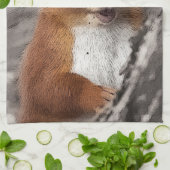 リスの台所タオル キッチンタオル (折り畳み)