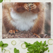 リスの台所タオル キッチンタオル (折り畳み)