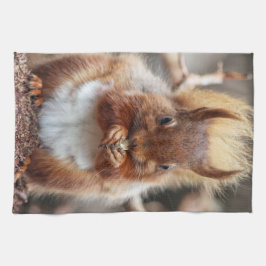 リスの台所タオル キッチンタオル