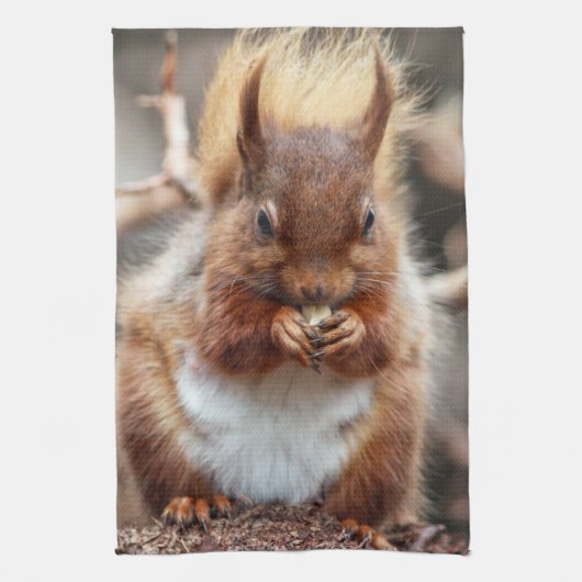 リスの台所タオル キッチンタオル (縦)