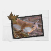 リスの台所タオル キッチンタオル (横)