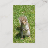 リスの名刺 名刺 (裏面)