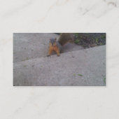 リスの名刺 名刺 (裏面)