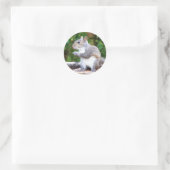 リスの外観 ラウンドシール (バッグ)