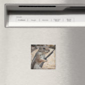 リスの復讐マグネット マグネット (インサイチュ (食洗機))