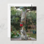 リスの愛 ポストカード (正面/裏面)