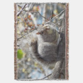 リスの投球毛布 スローブランケット (正面縦)