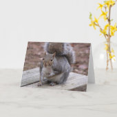 リスの挨拶状 カード (黄色い花)