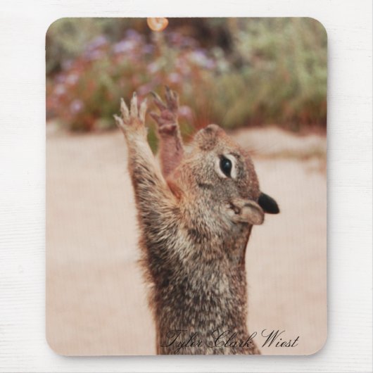 リスの捕獲物2 マウスパッド (正面)