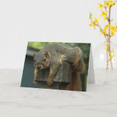 リスの日の午後 カード (黄色い花)