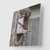 リスの時計 スクエア壁時計 (傾斜)