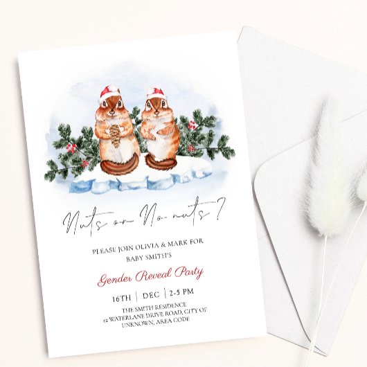 リスの木の実クリスマス冬のジェンダーの明け 招待状