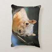 リスの枕 アクセントクッション (裏面(縦))