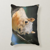 リスの枕 アクセントクッション (正面(垂直))