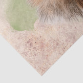 リスの水色 薄葉紙 (詳細)