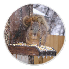 リスの爪 セラミックノブ