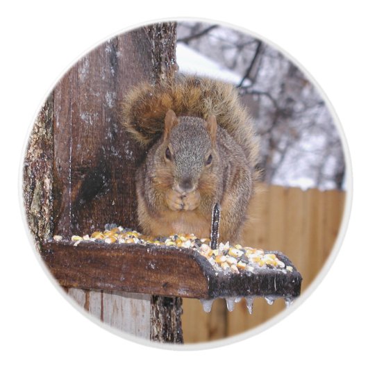 リスの爪 セラミックノブ (正面)