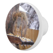 リスの爪 セラミックノブ (右)