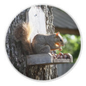 リスの爪 セラミックノブ (正面)