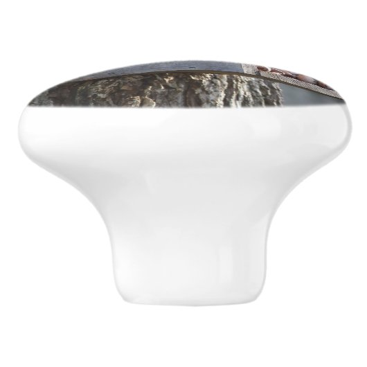 リスの爪 セラミックノブ (側面)