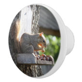 リスの爪 セラミックノブ (右)