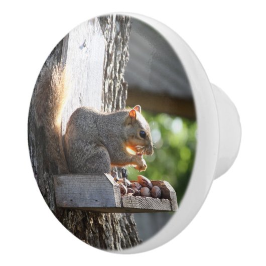 リスの爪 セラミックノブ (右)