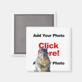 リスの磁石を追加カスタムする マグネット (正面/裏面)