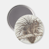 リスの磁石 – スコイアトンロカラミータ マグネット (正面/裏面)