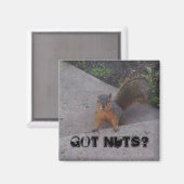 リスの磁石 マグネット (正面/裏面)