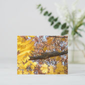 リスの禅モーメント ポストカード (スタンド正面)