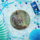 リスの紙皿 ペーパープレート (パーティー)