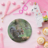 リスの紙皿 ペーパープレート (パーティー)